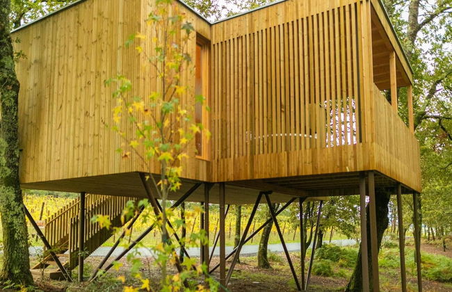 Enoturismo María Manuela - Photo 46