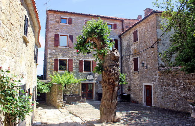 Tour enogastronomico dell'Istria - Foto 4