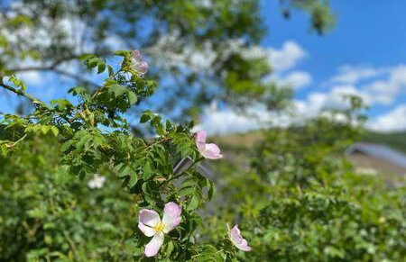 Taff Valley Heartwarming Cottage In Aberafan Merthyr Tydfil By STAE-Homes - Foto 13