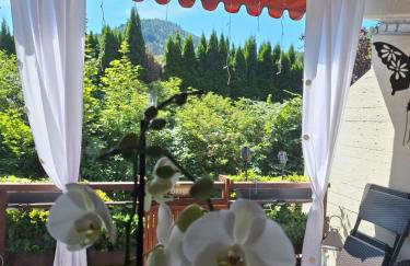 Appartement Herrlich - Photo 3