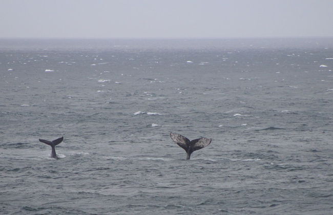 Villa La Mercy Chalet - Foto 26