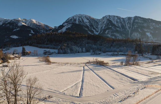 Das Goldjuwel - Foto 52