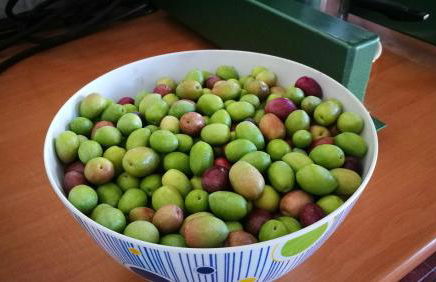 Finca el Vizconde - Naturaleza con tus hijos - Foto 42