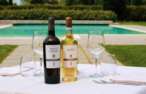 Tenuta Albertini - Foto 23