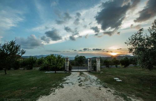 La Collina Degli Ulivi - Foto 78