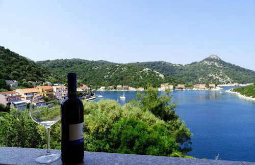 Apartments by the sea Zaklopatica, Lastovo - 12452 - Foto 16