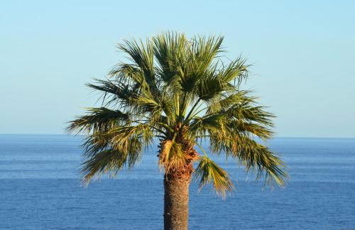 Villa Cala Lanuza - Photo 34