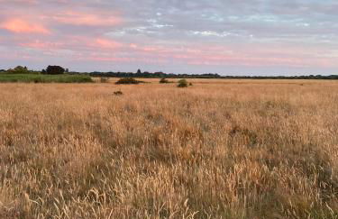 Swedish Rustic Cabin perfect for bird watching - Foto 15