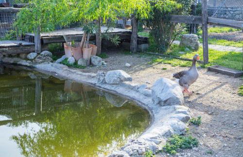 Agriturismo Fassi - Foto 50