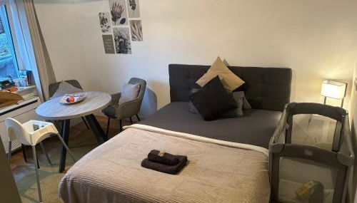 GREENSIDE Apartment Work&Travel Nähe Weinheim, HD, MA - Foto 2