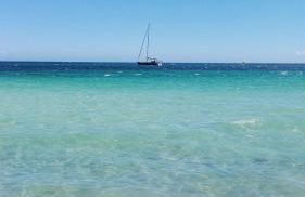 La flabellina blu - Foto 15