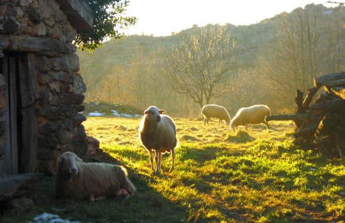 AL VIENTO, Alojamiento & Turismo Rural Horcajuelo - Foto 27