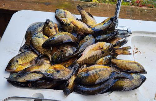 Spacious 5 Bedroom Cabin with Riverview & Black Lake Access - Foto 55