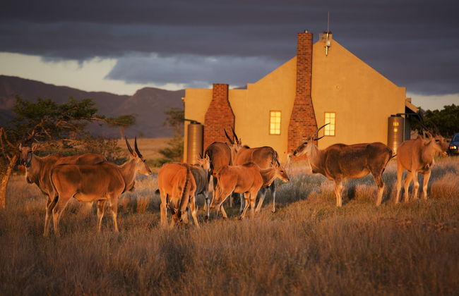 Kwetu Guest Farm - Photo 56