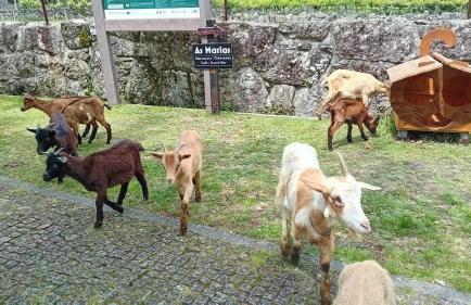 Chalet do Soajo - Foto 45