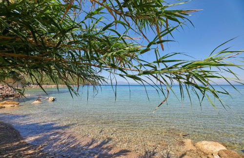Cape Kitries - Photo 127