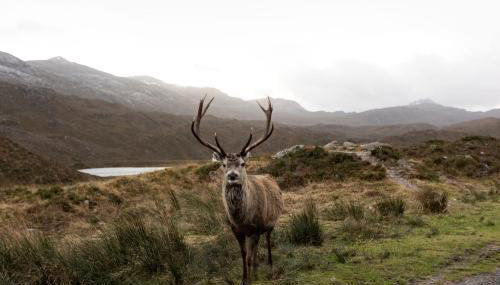 Coulin Farmhouse - Foto 4