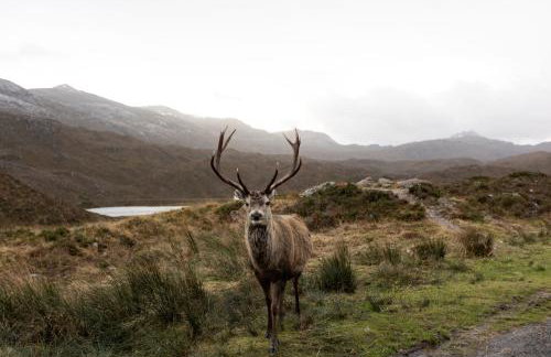 Coulin Farmhouse - Photo 4