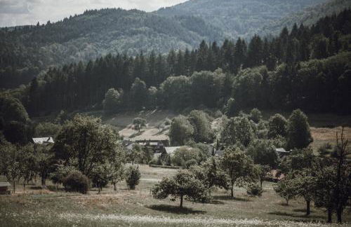 Pine Cone Loft on Baden-Baden's Panorama Trail - Foto 59
