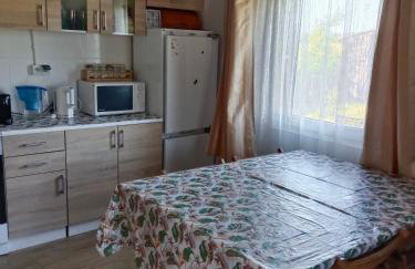 Domek nad Wkrą, okolice Sochocina, kajaki - Foto 6