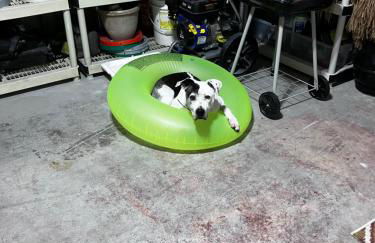 Salty Toes - Foto 41