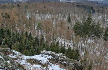 Ferienhaus Wanderlust - Photo 22