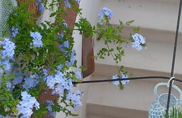 vacanza nel salento1 - Foto 12