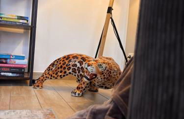 SAFAN Riverside I Chakalaka Afrika I Altstadt & Elbe - Foto 20