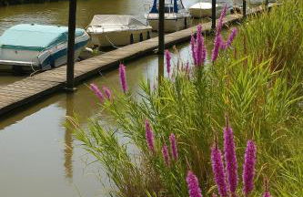 Fewo Lüheblick im Haus Lühegarten - Photo 44