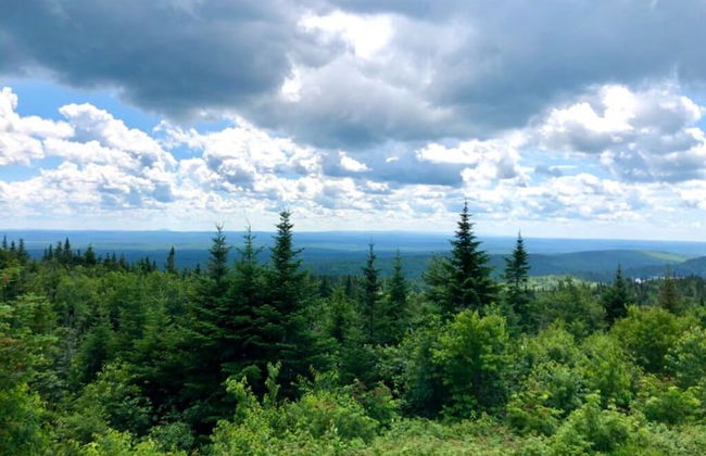 Cottage by the Lake Great Tranquility, Without Motor Boats - Foto 9