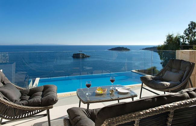 White Orchid Arundina - Photo 11