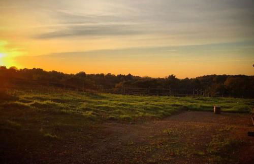 Maison proche Pont l'Eveque Deauville Honfleur - Foto 12