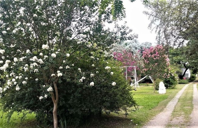 Quinta Valvanera - Foto 33