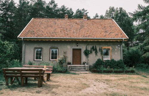 Tajna Bazia - Foto 4