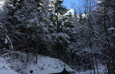 Villa Fedora - Foto 8