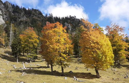 Ferienwohnung Adlerhorst im Haus Lohrey - Foto 10