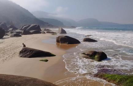 Apartamento em Condomínio - Foto 12