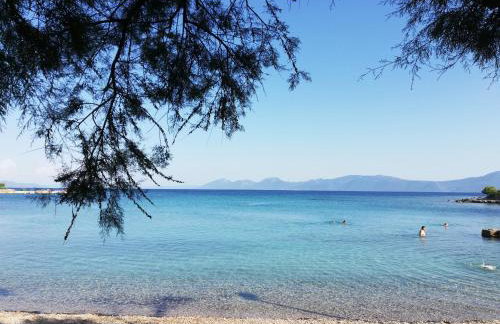 Apartments IDA Sucuraj - Foto 9