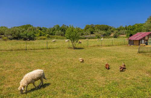 Villa Franolic - Photo 36