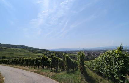 Komfortwohnung nahe Basel mit Parkplatz - Foto 17