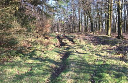 Ingledale Apartment, Ingleton, Yorkshire Dales National Park, Famous Three Peaks, Near The Lake District, Pets Are Welcome - Foto 48