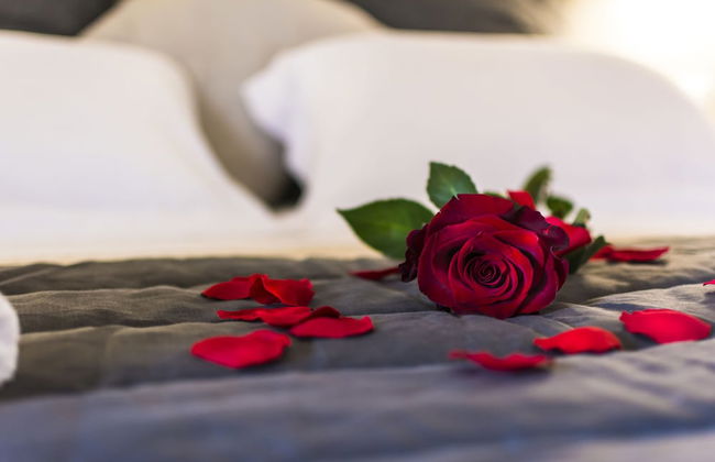 Agriturismo Il Megalite - Foto 3