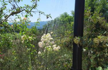 Villa Colle di Giotto Mugello, Tuscany - Foto 3