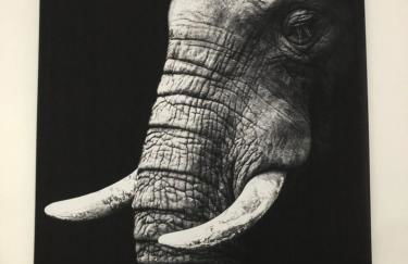 AlloAppartMeuble StPol - Foto 66