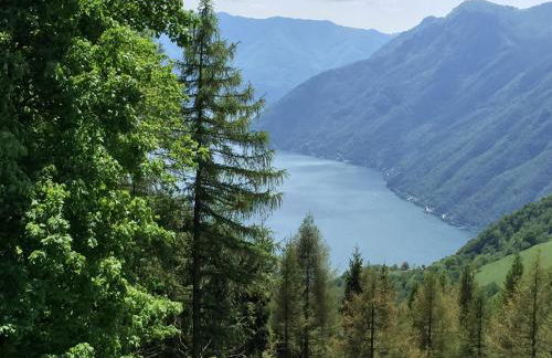 Lake View Apartments - Foto 40