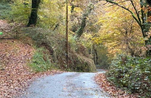North Devon seaside cottage with log burner - Foto 17