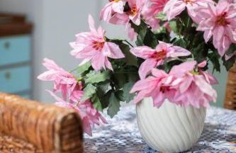 Casa Sissy Central Apartment in Brindisi - Foto 42