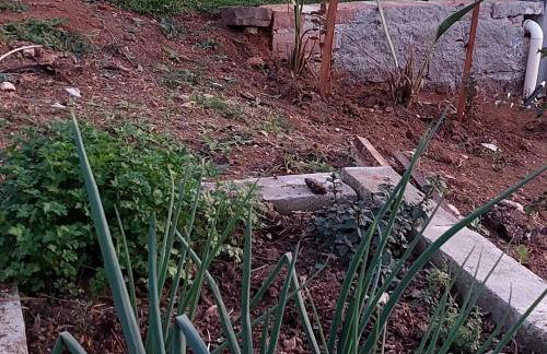 Refúgio da Serra - Foto 30