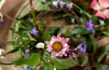 Rifugio Uschione - Foto 41