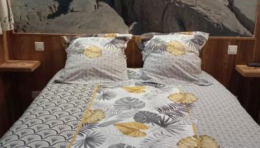 La spatule - Photo 4